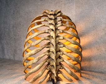 Anatomical Rib Cage Lamp, Gothic Skeleton Table Lamp, Realistic Spine Light, Dark Academia Decor, Biohorror Lighting