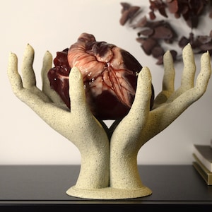 May include: A pair of stylized hands made of beige ceramic hold a realistic-looking anatomical heart. The hands are joined at the wrists and form a base for the heart.