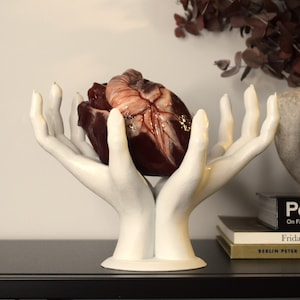 Könnte beinhalten: Eine weiße Keramikskulptur von zwei Händen, die ein realistisches anatomisches Herz halten. Das Herz ist rot und hat sichtbare Adern und Arterien.