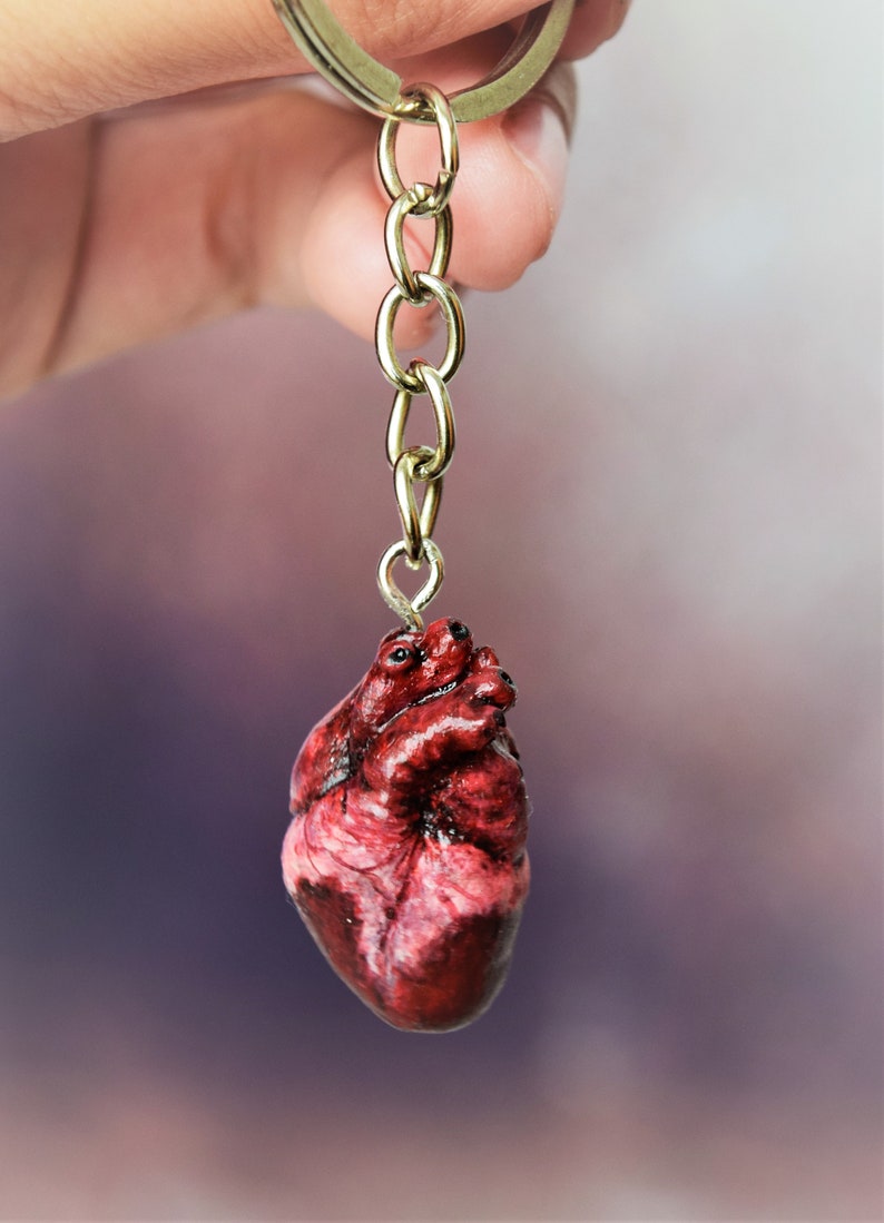 Realistic Human Heart Keychain Anatomical Heart Miniature Etsy