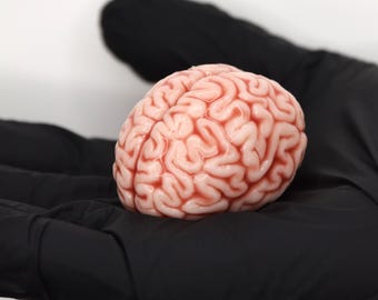 Mini Anatomical Brain Figurine, Realistic Silicone Brain Model, Gothic Desk Decor, Neuroscience Gift