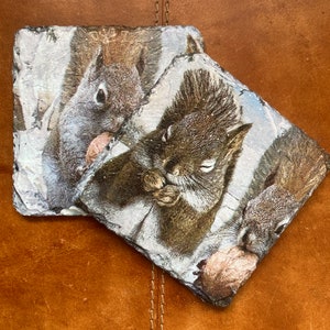 Winter squirrels slate coaster - set of 2 or 4