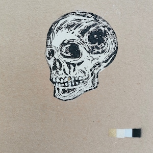 Skull