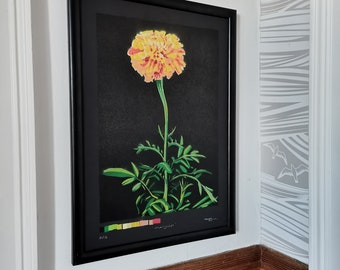 Ringelblume Limitierte Auflage Original