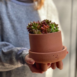 fun mini flower pot, mini flower pot with legs, flower pot for succulents image 5