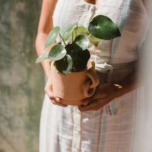 Terracotta pot with earrings, bohemian pot, pot with earrings, expensive pot