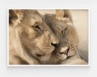 Printable wall art. Large lion Print. A pair of lions in love wall art. Lion & Lioness Couple Set of 2 Prints Download. Digital Download