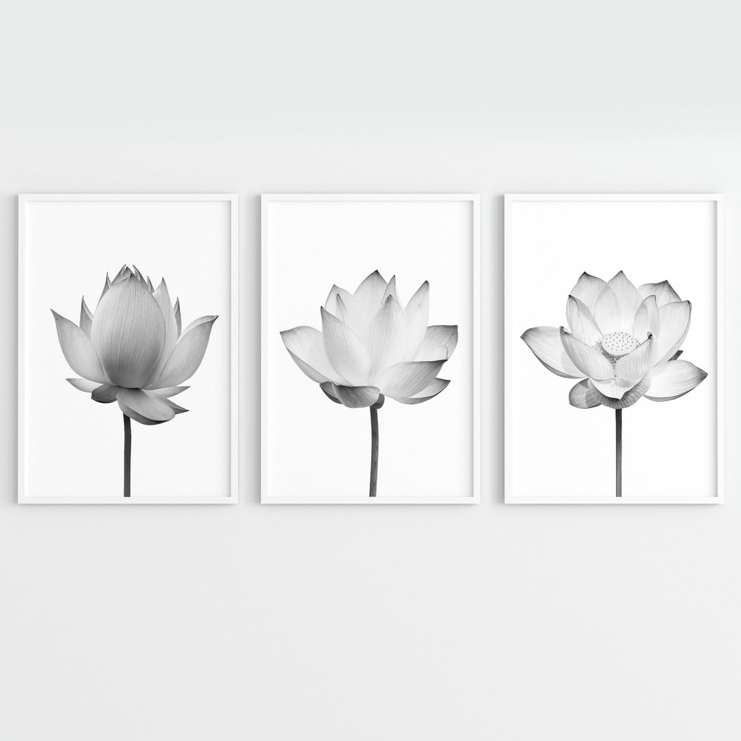 Lotus Flower Prints: Botanical Zen Wall Art Set (digital Download) - Etsy
