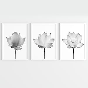 Lotus flower wall art. Botanical Set of 3 Prints. Zen wall art. PRINTABLE Wall Art.