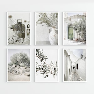 Mediterrane olijfboom muurkunst print set. Vintage Europees plattelandsdecor.