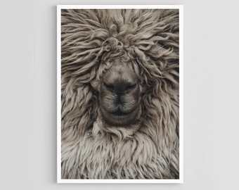 Sheep Print, Printable Sheep Art, Nursery Animal Print, Printable Farmhouse Sheep Large Poster, Sheep Wall Art, Digital Download, Art Prints