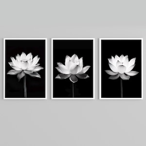 Lotus flower wall art. Botanical Set of 3 Prints. Zen wall art. PRINTABLE Wall Art.