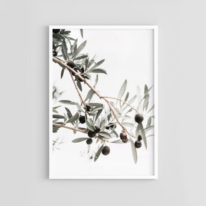 Minimalist PRINTABLE wall decor . Olive tree branch photo wall art. Gray and green. Digital download.