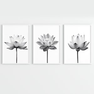 Lotus flower wall art. Botanical Set of 3 Prints. Zen wall art. PRINTABLE Wall Art.