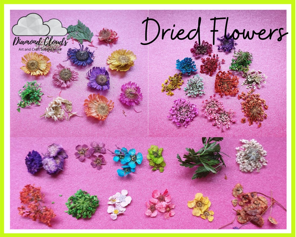 AU UV Resin Dried Flower Diy Craft Pressed Epoxy Natural Etsy
