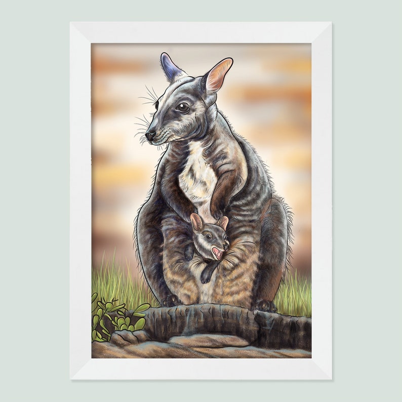 Cute Joey Wallaby Art Australian Native Animal Wall Art Etsy Australia