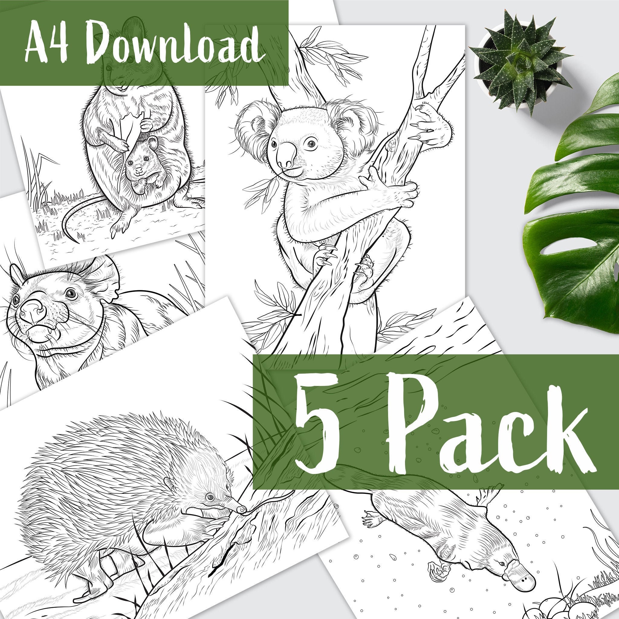 Colouring Page - 5 Pack - Uniquely Australia, Australian Native Animal, Wild Animals, Colour Creative, Coloring Art, Kids, A4, Letter