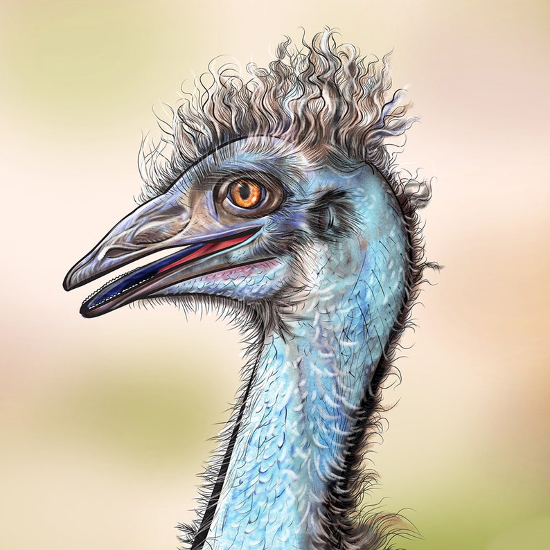 Emu Art Australian Native Animal Wall Art Nursery Décor Etsy