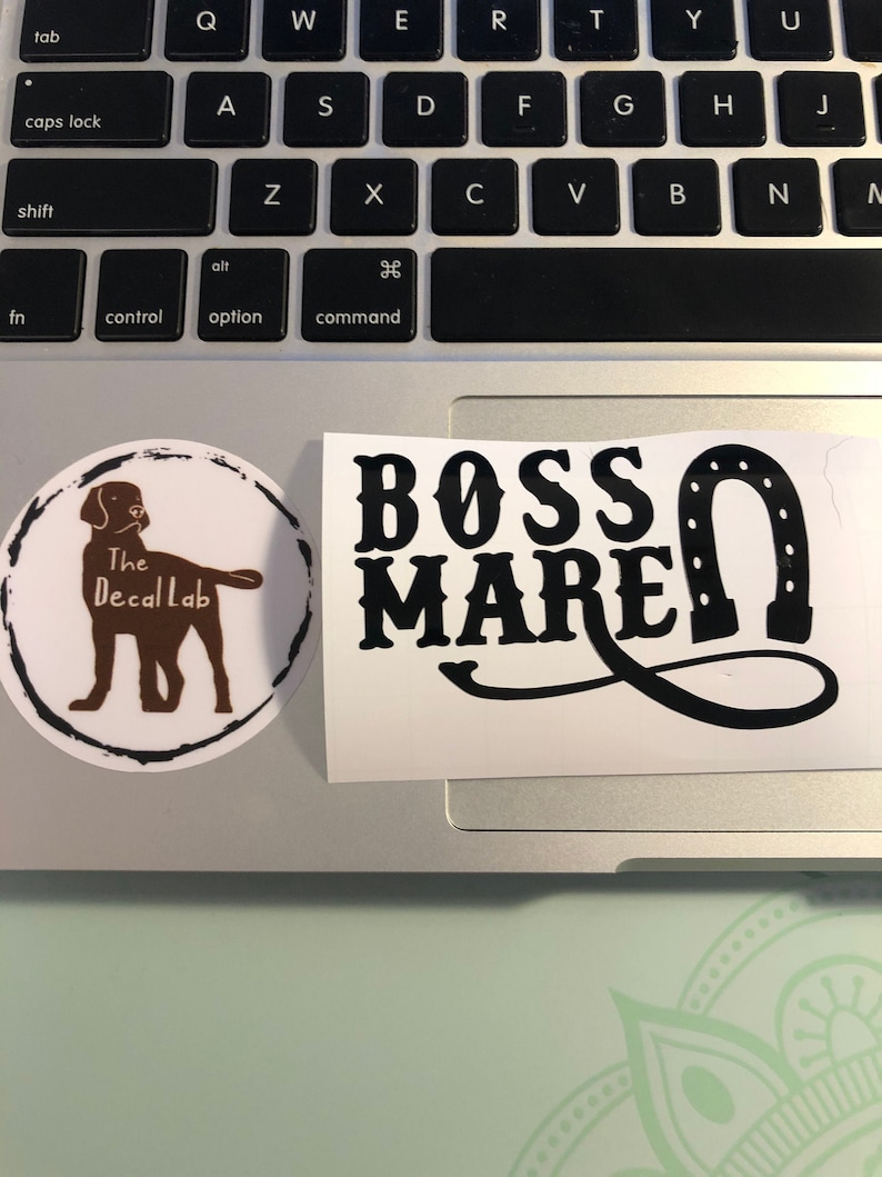 Horse Vinyl Decal Boss Mare Vinyl Decal