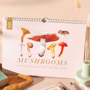 2025 Year Calendar Mushroom Planner | Fungi | Mushroom Art Planner | Nature Planner | 12 Month Hanging Calendar | Recycled Paper