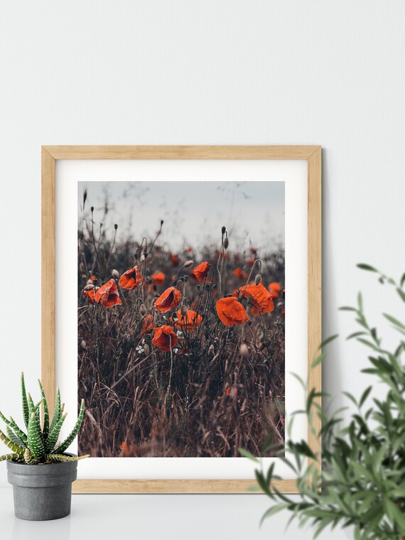 DIGITAL PRINT / PHOTO instant download photo print fine art Etsy