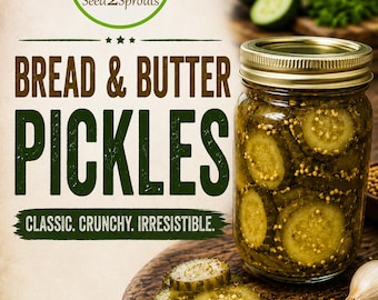 Delicious Bread and Butter Pickles