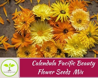 May include: Close-up of a mix of yellow and orange calendula flowers. The flowers are arranged on a wooden surface. The text "Calendula Pacific Beauty Flower Seeds Mix" is displayed on a burgundy banner.