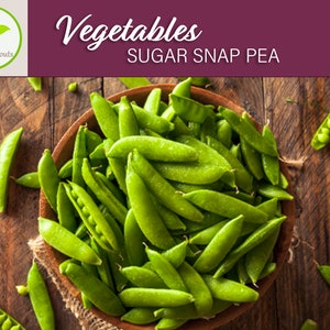 15+ Sugar Snap Pea Seeds, Vegetable Seeds, Heirloom, Non-GMO