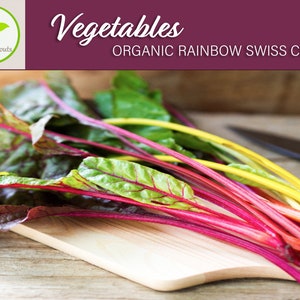 50+ Organic Rainbow Swiss Chard Seeds, Vegetable Seeds, Heirloom, Non-GMO