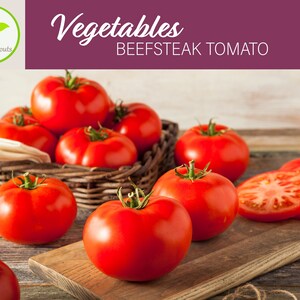 50+ Beefsteak Tomato Seeds, Tomato Seeds, Vegetable Seeds, Non-GMO