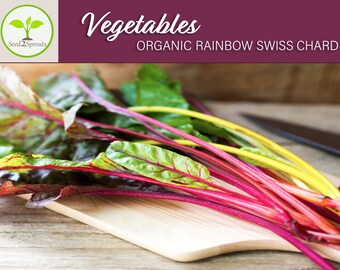 50+ Organic Rainbow Swiss Chard Seeds, Vegetable Seeds, Heirloom, Non-GMO