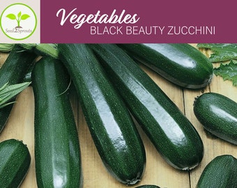 25+ Black Beauty Zucchini Seeds, Summer Squash Seeds, Vegetable Seeds, Heirloom, Non-GMO