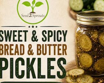 Sweet and Spicy Bread and Butter Pickles
