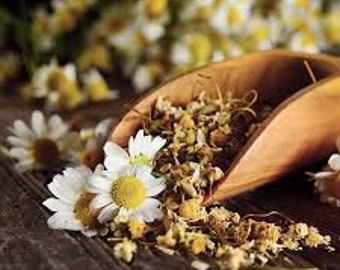 200+ Chamomile Seeds, German Chamomile Seeds, Herb Seeds, Non-GMO, Heirloom
