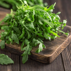 150+ Organic Arugula Slow Bolt Rocket Seeds, Vegetable Seeds, Herb Seeds, Non-GMO, Heirloom