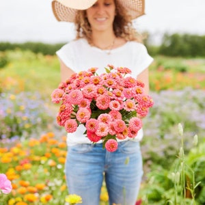 50+ Lilliput Salmon Zinnia Seeds, Heirloom Flower Seeds, Non-GMO
