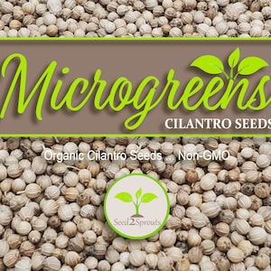Cilantro Microgreen Seeds, 6 - 10 Times More Nutrious Than Vegetables, Slow Bolt Cilantro Microgreen Seeds, Non-GMO, Heirloom, Hydroponic