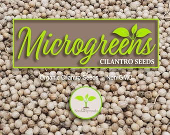 May include: Close-up of a pile of small, round, tan coriander seeds. The seeds are labeled "Microgreens Cilantro Seeds Organic Cilantro Seeds... Non-GMO" and "Seed2Sprouts".