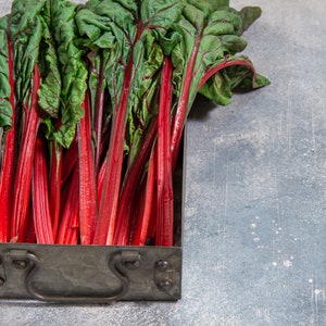 50+ Organic Ruby Red Swiss Chard Seeds, Vegetable Seeds, Heirloom, Non-GMO