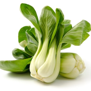 100+ Pak Choi White Stem Cabbage Seeds, Bok Choy, Vegetable Seeds, Non-GMO, Heirloom