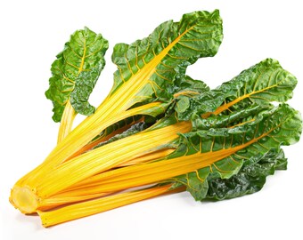 50+ Organic Yellow Swiss Chard Seeds, Vegetable Seeds, Heirloom, Non-GMO