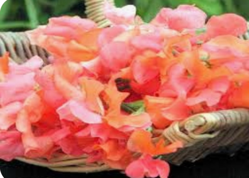 Op de afbeelding: Een rieten mand gevuld met delicate, roze en oranje bloemblaadjes.