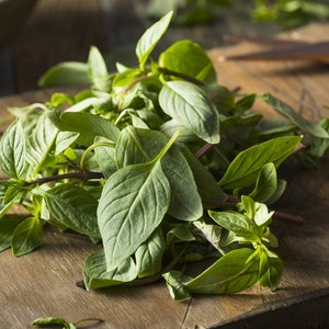3 Varieties Basil Seed Assortment , Basil Seeds, Herb Seeds, Non-GMO, Heirloom
