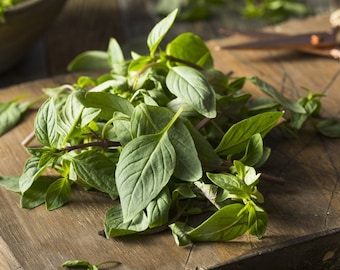 3 Varieties Basil Seed Assortment , Basil Seeds, Herb Seeds, Non-GMO, Heirloom
