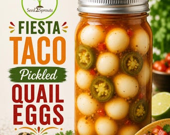 Fiesta Taco Flavored Pickled Quail Eggs