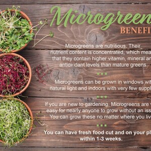 Microgreen Herb Assortment Seed Starter Kit / Refill, Herb Kit, Microgreen seeds, Non-GMO
