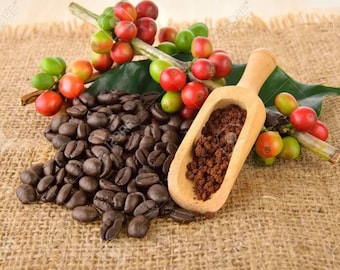 10 Arabian Coffee Seeds, NON-GMO