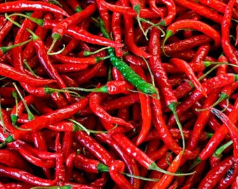 25+ Cayenne Pepper Seeds, Cayenne Long Slim Pepper Seeds