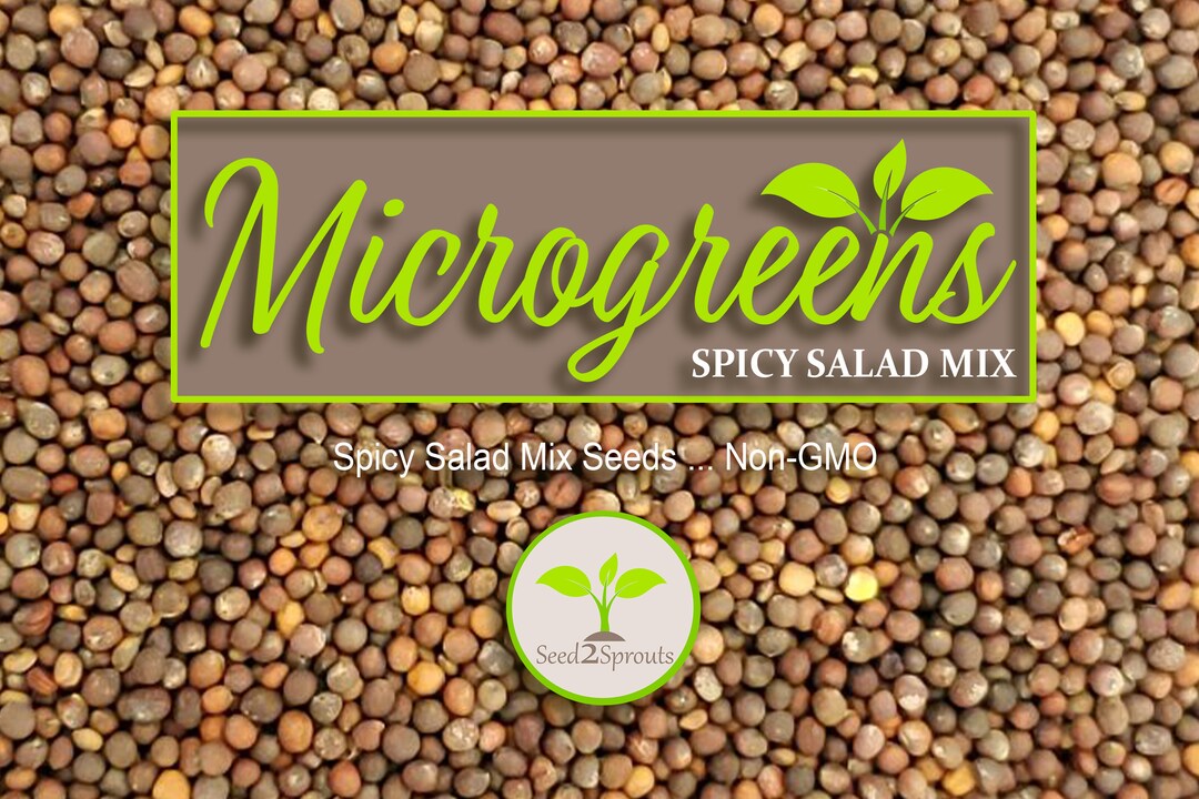Spicy Salad Mix Microgreen Seeds 6 10 Times More Nutrious Etsy