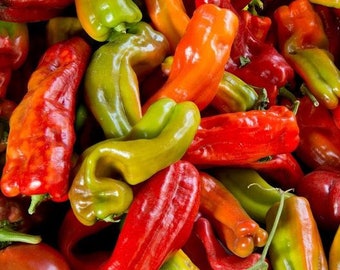 25+ Hot Anaheim Chili Pepper Seeds, Hot Pepper Seeds, Vegetable Seeds, Non-GMO, Heirloom